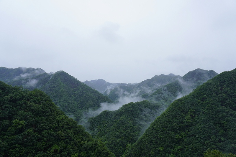 河南双志团建风景图